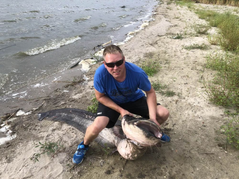 Maik Lehmann und der Riesenwels