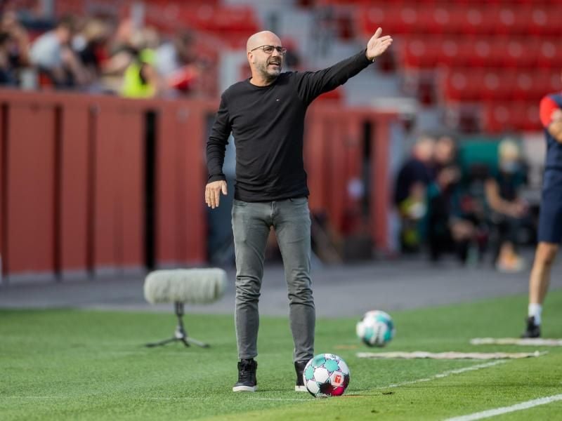 Muss versuchen die Abgänge zu kompensieren: Leverkusens Trainer Peter Bosz. Foto: Rolf Vennenbernd/dpa