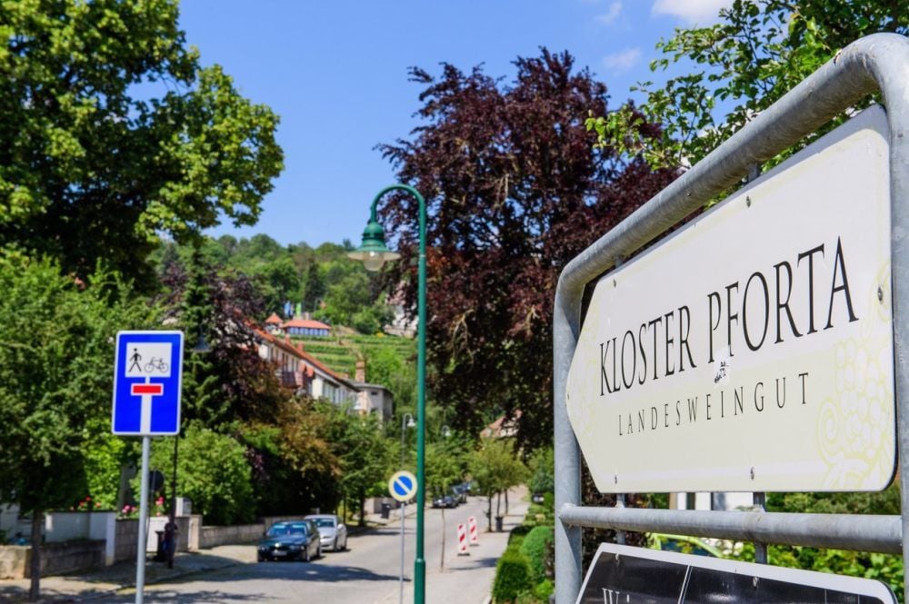 Hier geht’s lang: Landesweingut wird neue Adresse für Bastian Remkes aus Baden-Württemberg.