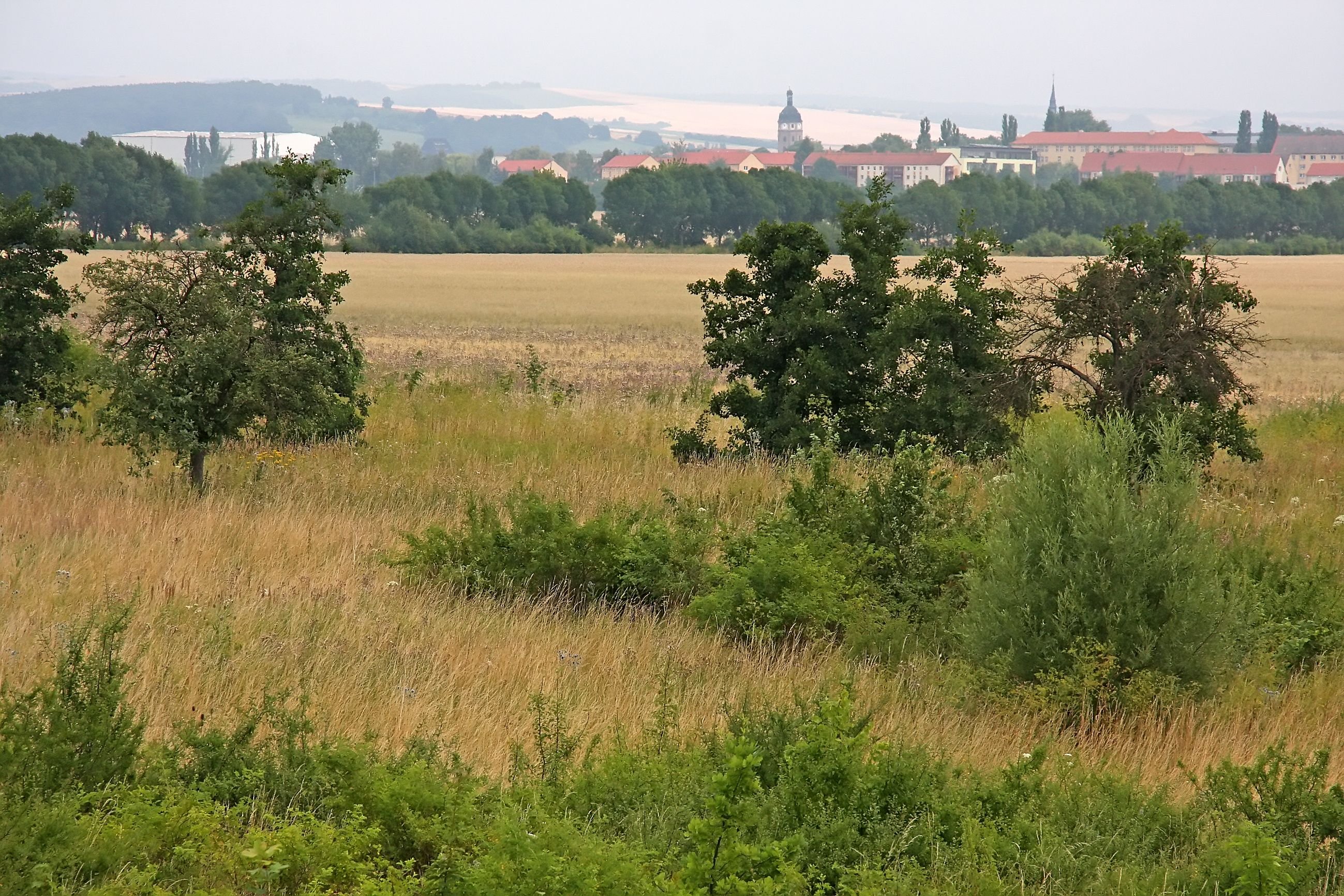 Auf dieser Fläche am Rand von Sangerhausen soll der Industriepark Mitteldeutschland entstehen.