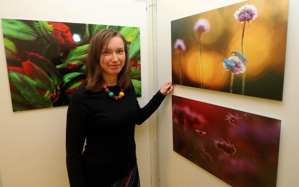 Das Kalendarium im Heimatkalender 2019 für das Jessener Land schmücken Makrofotografien von Stephanie Olitzsch. Sie hatte zur Präsentation des druckfrischen Heftchens im Jessener „Schützenhaus“ auch einen kleine Ausstellung gestaltet.