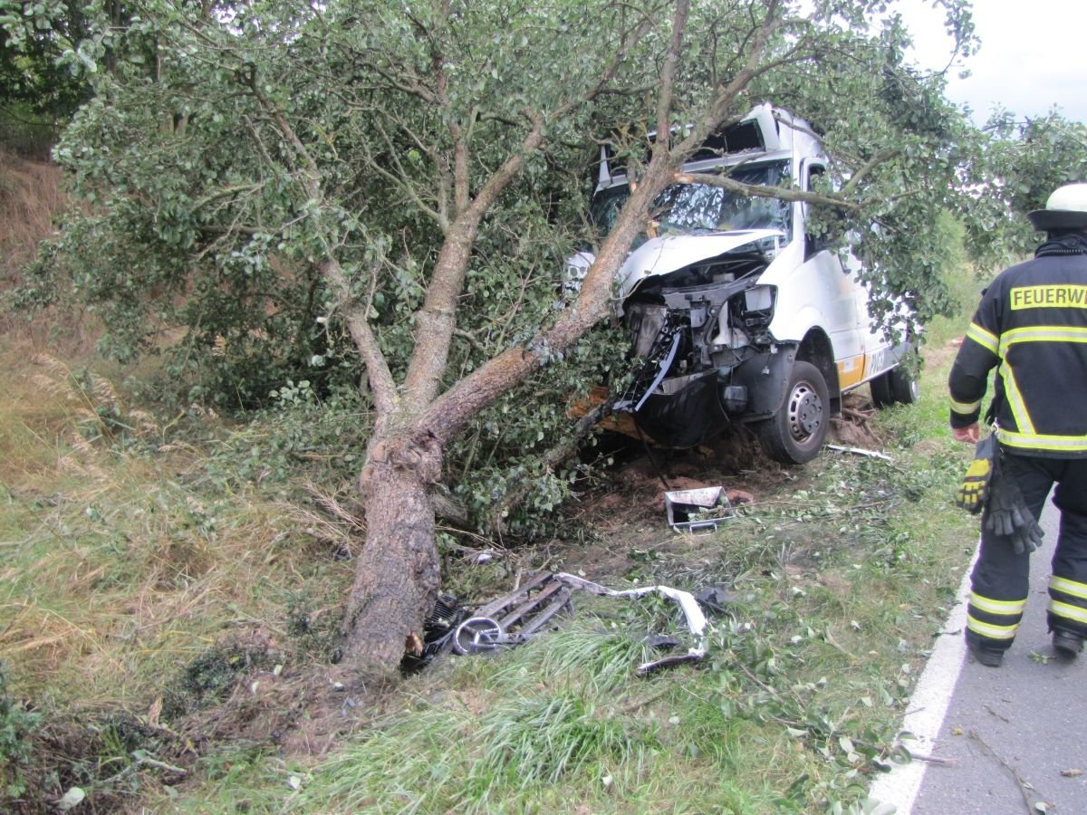 In diesem Rufbus wurden bei Gardelegen der Fahrer und zwei Fahrgäste verletzt.