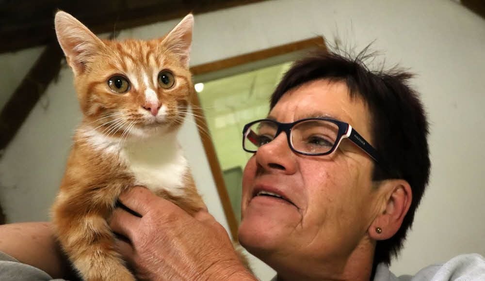 Der kleine Kater Chico könnte den ganzen Tag mit Tierpflegerin Marlies Heßler schmusen.