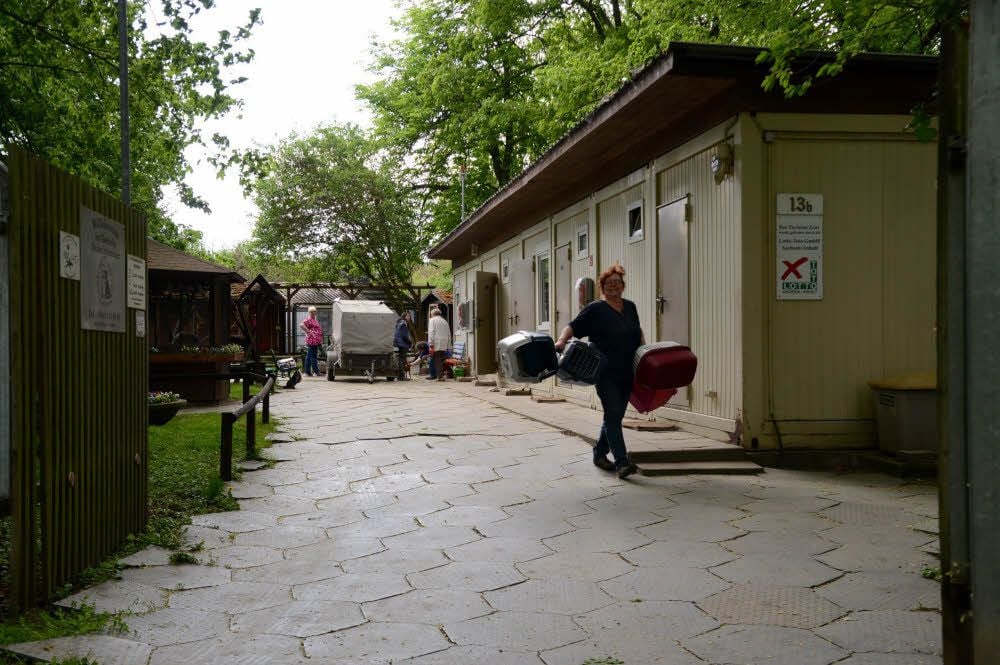 Im Container auf der rechten Seite befindet sich alles: Büro, Aufenthaltsraum, Küche, Tier-Küche, Quarantäne... Hier kommt der Besucher an.
