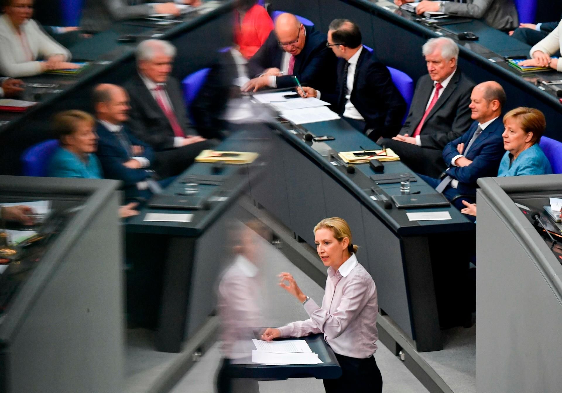AfD-Fraktionsvorsitzende Alice Weidel handelte sich eine Rüge im Bundestag ein.