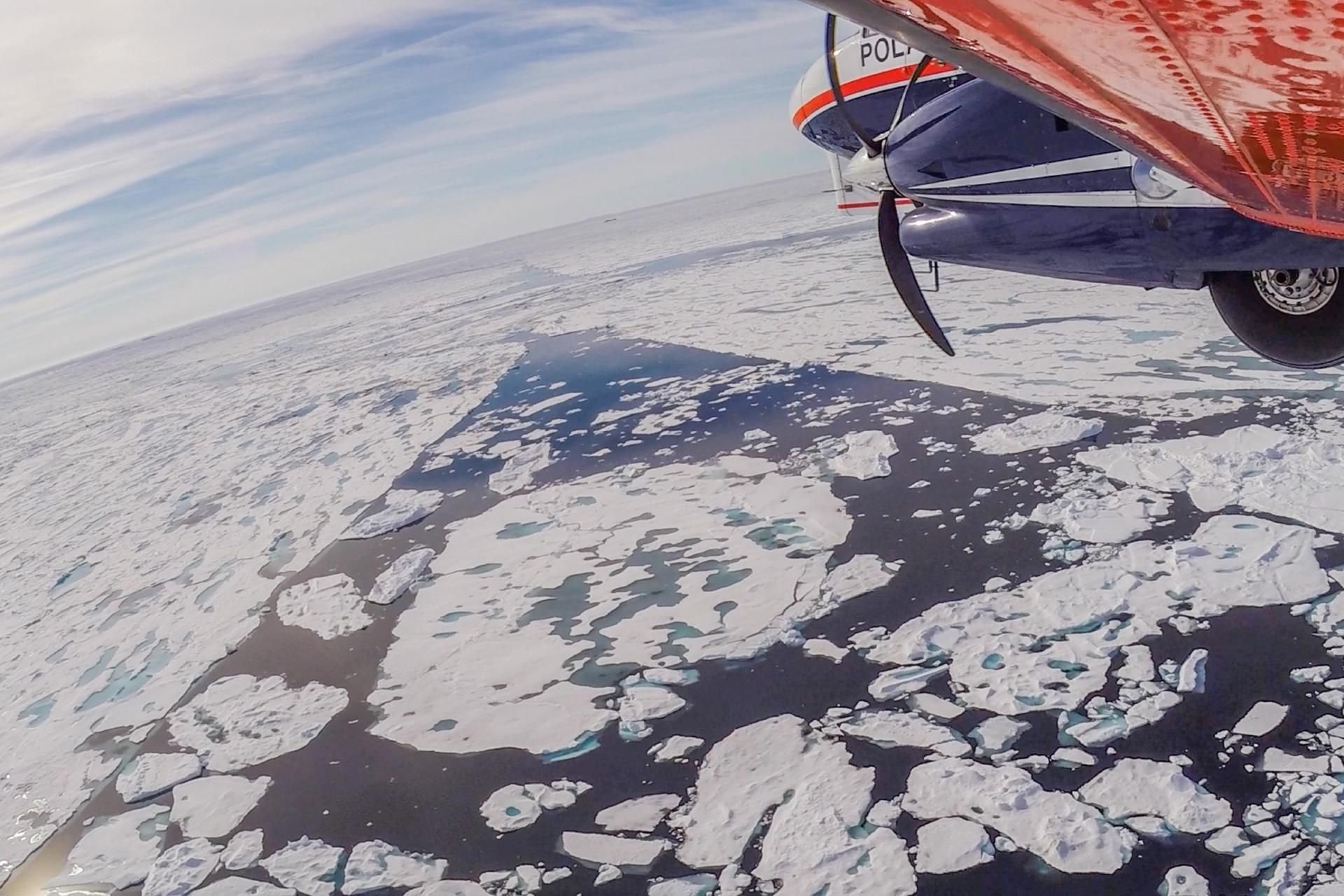 Das Polar 6 Forschungsflugzeug des Alfred-Wegener-Instituts fliegt während der IceBird-Eisdickenvermessung über dem Arktischen Ozean.