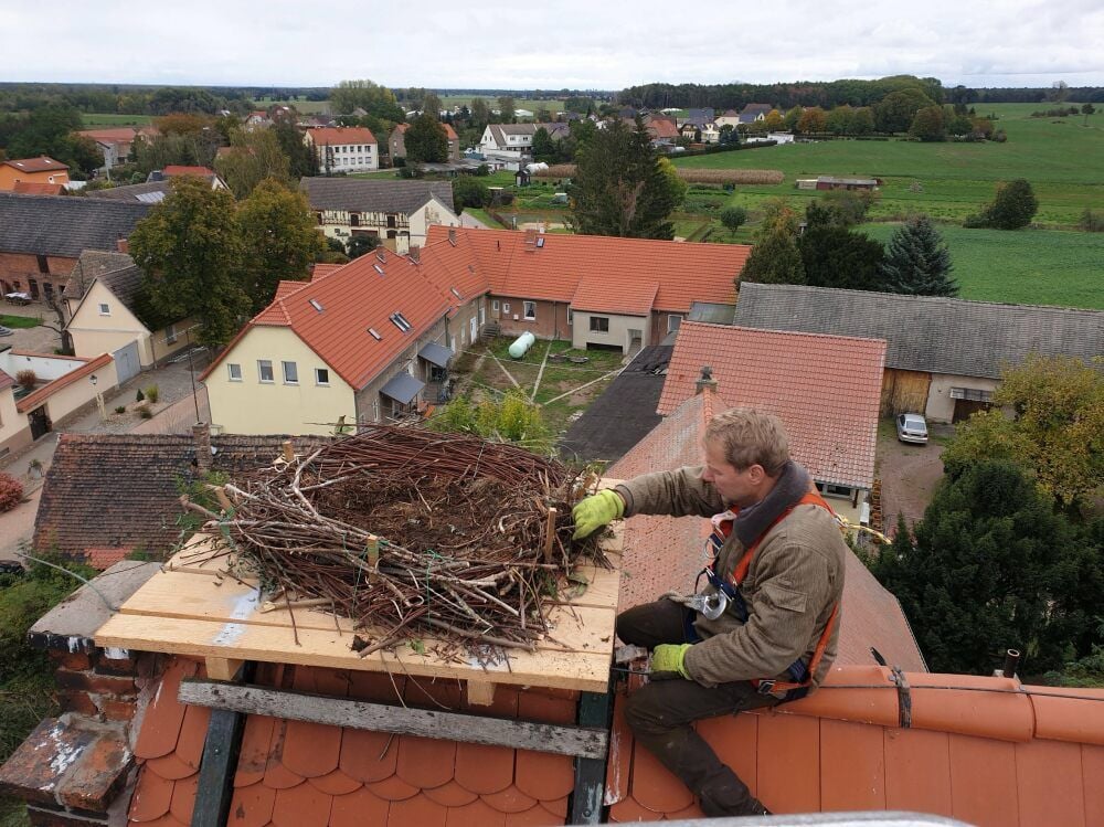 Fast zwei Stunden werkelt Ingolf Todte auf dem Dach der Reppichauer Kirche für den neuen Storchenhorst.