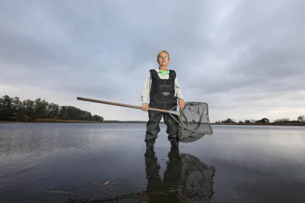 Es gibt 2018 kein Abfischen im Deetzer Teich. Kaum bis zu den Knien der Wathose von Fischwirtin Hannelore Sachse reicht das Wasser noch.