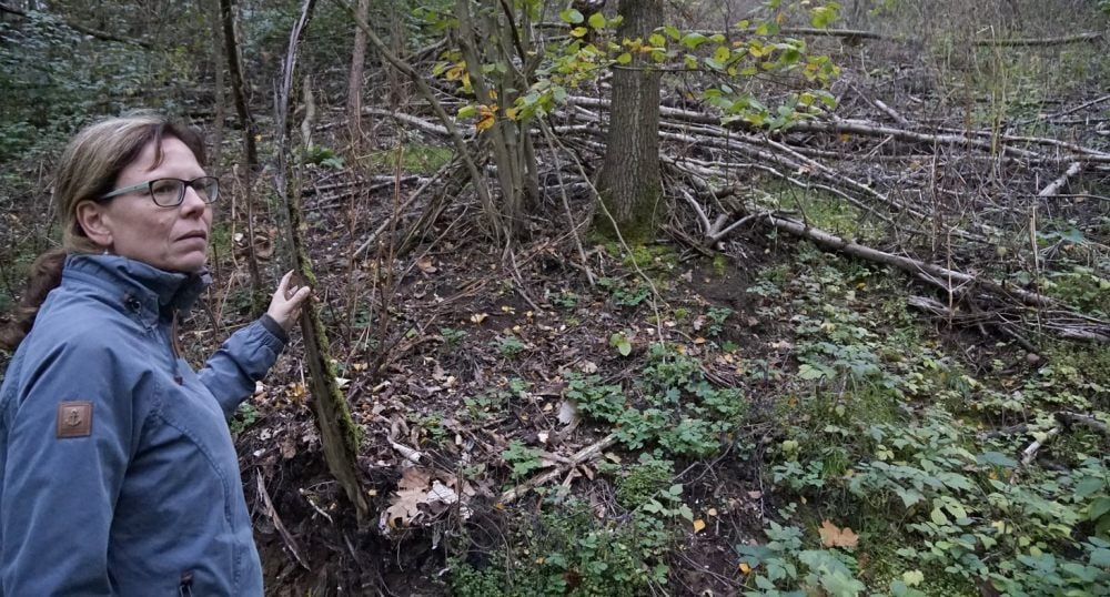 Heike Palte verbringt viel Zeit in der Natur.