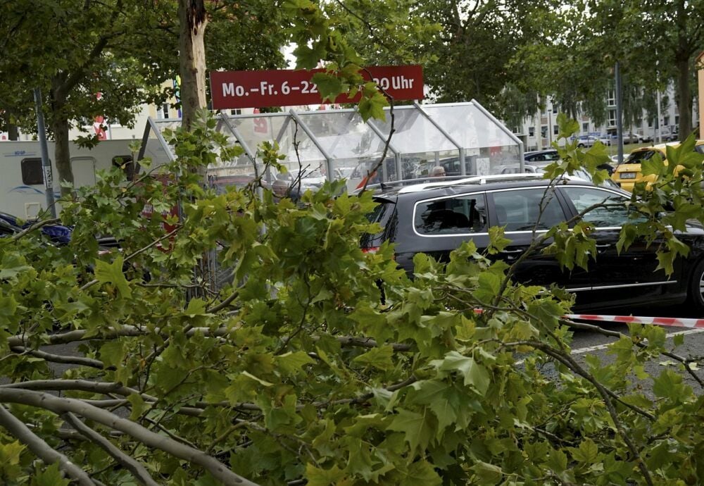 Sangerhausen: Ein Baum landete auf einem Auto.