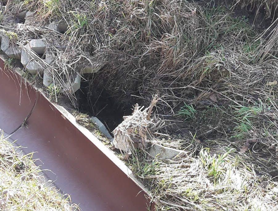 In der Region um Wimmelburg gab es schon häufiger Erdfälle.