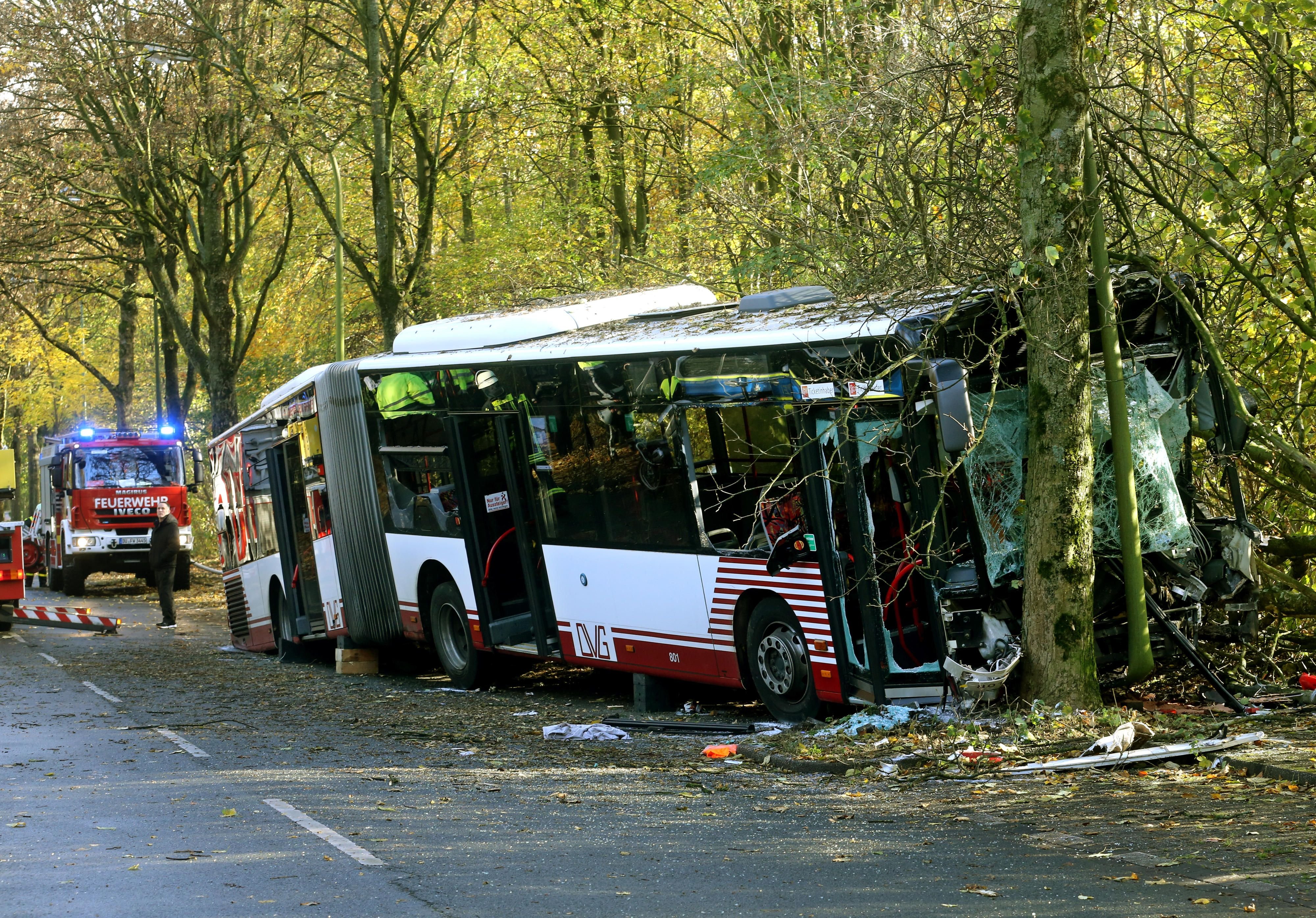 Der Bus der örtlichen Verkehrsbetriebe war nach ersten Erkenntnissen der Polizei gegen 9.30 Uhr von der Straße abgekommen, hatte einen Baum touchiert und war dann frontal gegen einen anderen Baum gefahren.