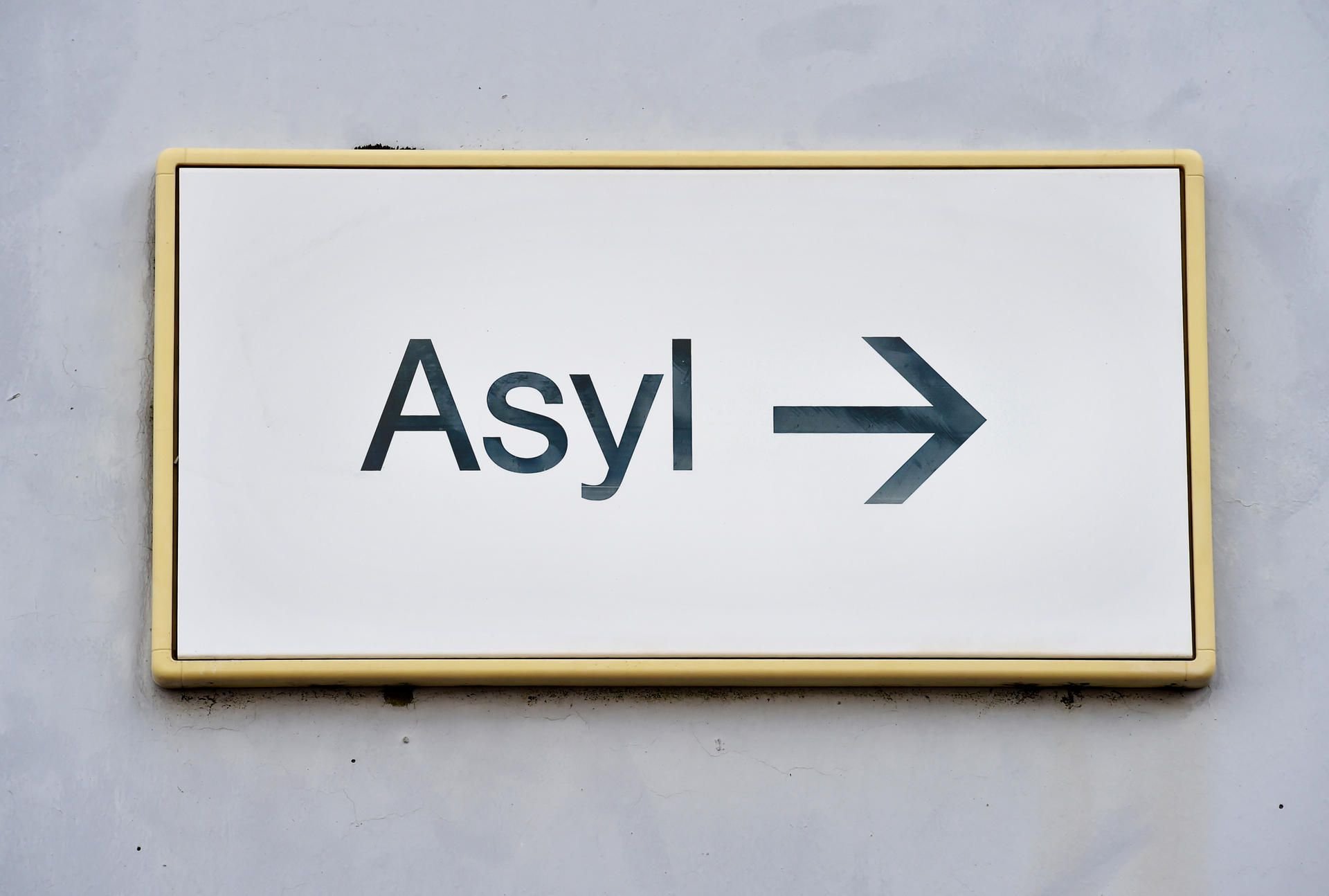 Von den 10 000 Ausländern im Burgenlandkreis stammen zwei Drittel aus dem EU-Ausland, von den 3 700 Drittstaatlern sind 600 Asylbewerber.