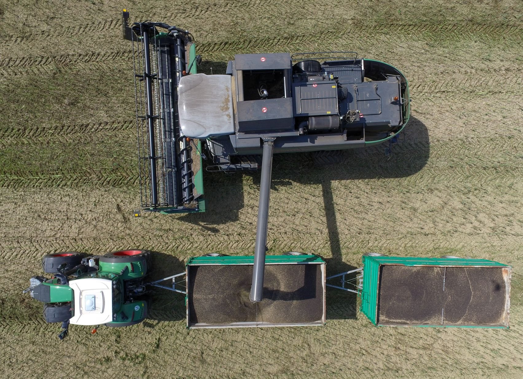 Ein Mähdrescher entlädt während der Rapsernte seinen Korntank auf einen neben ihm stehenden Anhänger eines Traktors.