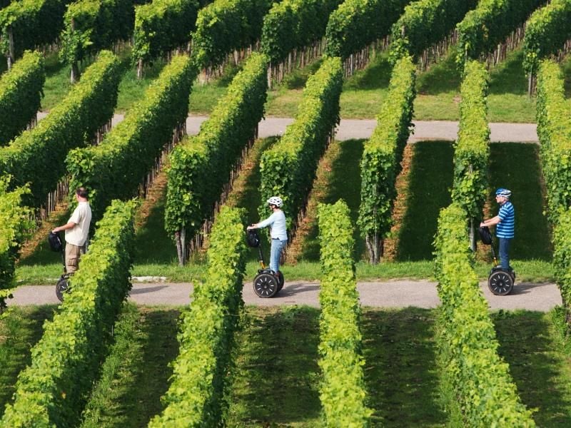 Für Segways, die maximal 6 km/h fahren können, ist kein Führerschein erforderlich. Foto: Sebastian Kahnert