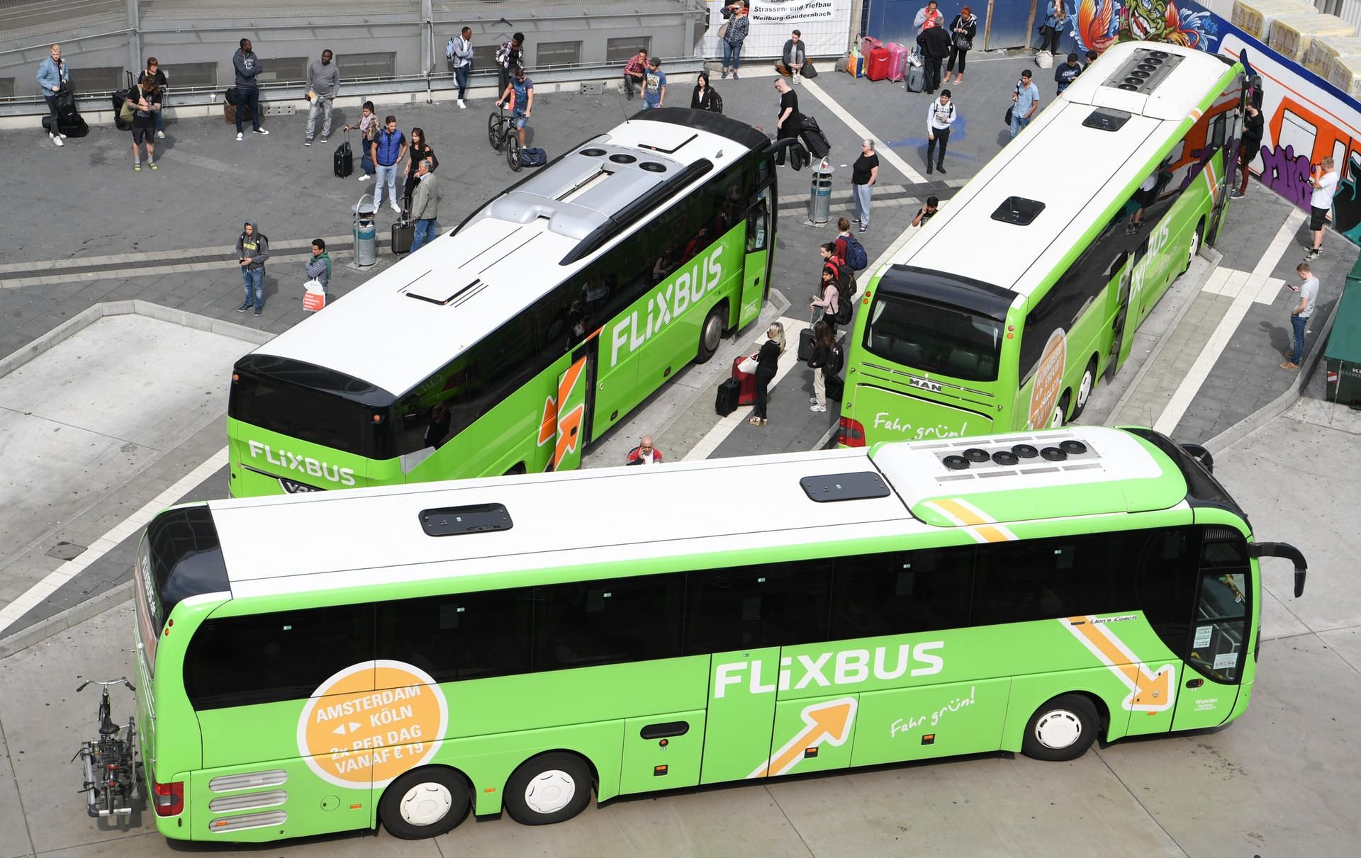 Busse des Unternehmens Flixbus stehen am Hauptbahnhof in Frankfurt/Main an einem Terminal für Fernbusse.