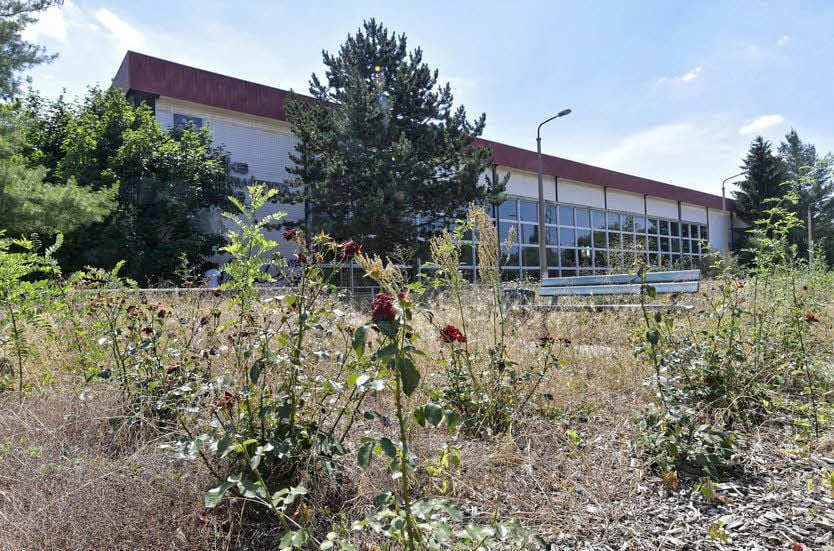 Halle im Dessauer Süden soll verkauft werden.