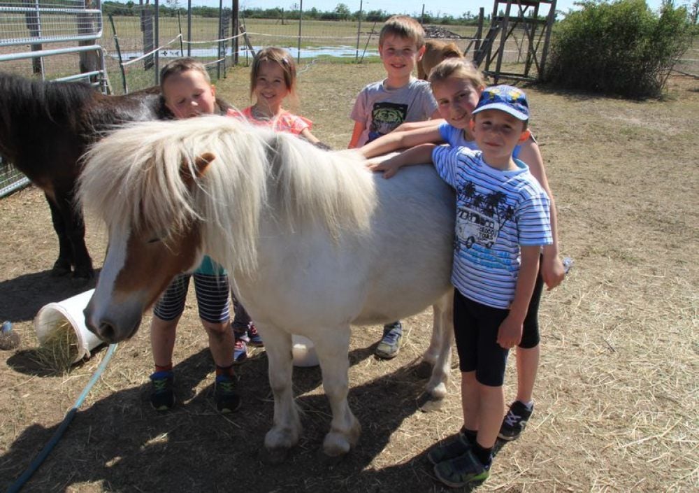 Pia, Damian, Johannes, Sebastian und Nora mit Pony Perla auf Hof Heinrich