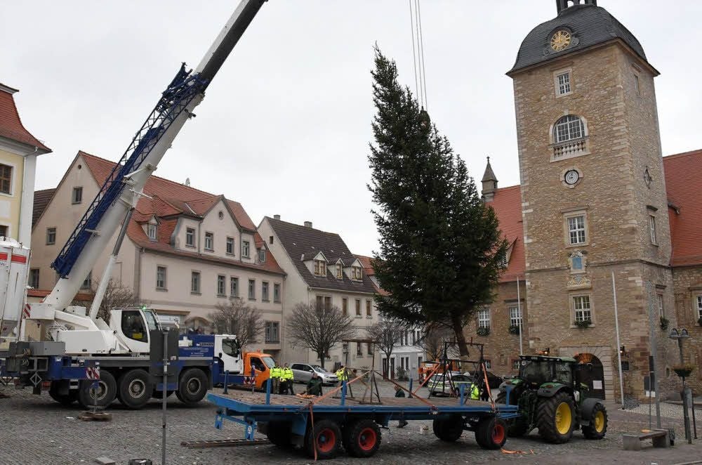 Der Baum wird vor dem Querfurter Rathaus aufgestellt.