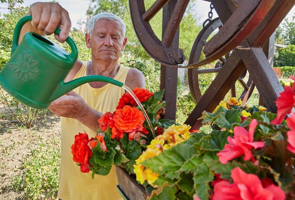 Günter Paukstadt (80) kommt mit dem Gießen in seiner Parzelle in der Gartensparte „Chemie und Kali“ kaum hinterher.