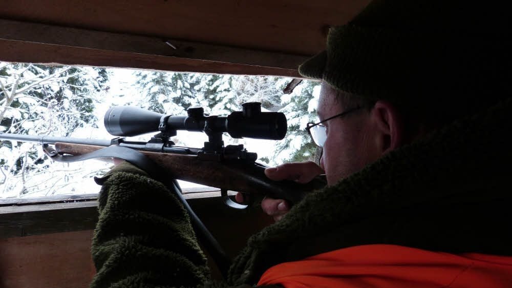 Der Jäger Olaf Gärtner beobachtet während einer Bewegungsjagd im Nationalpark Harz in Drei Annen Hohne das Gebiet vor seinem Hochsitz.