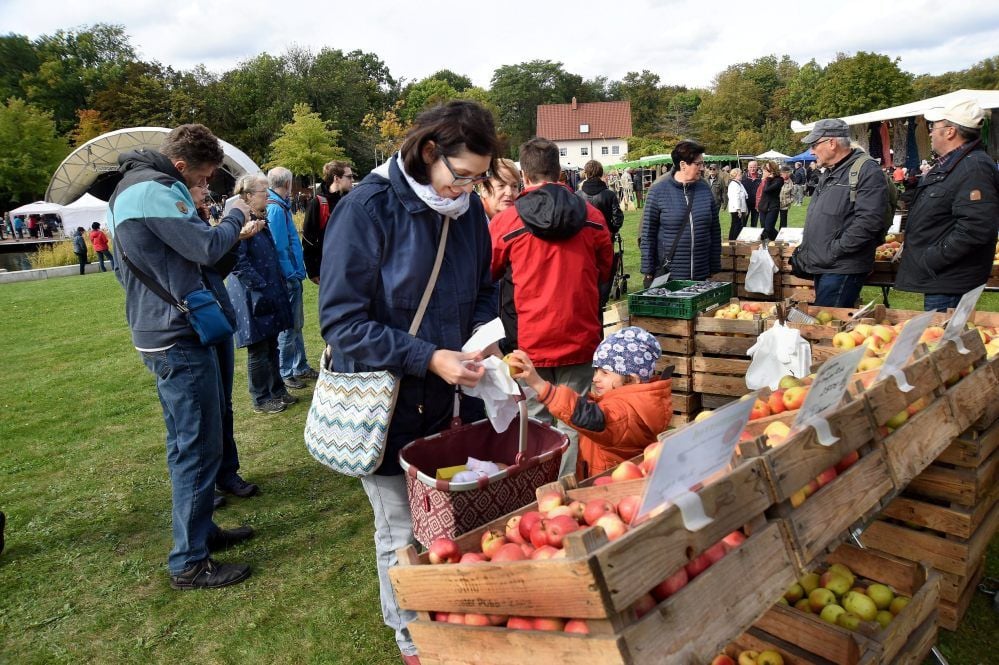 Nadine Müller und ihre Tochter Flora sind aus Weißenfels zum Herbstmarkt in den Schlosspark Moritzburg gekommen. Am Stand des Obsthofs Martin kauften sie Äpfel.