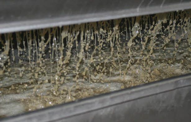 Der Saft läuft dann in die darunter befindliche Auffangwanne und gelangt über Leitungen in die Edelstahltanks im Keller.