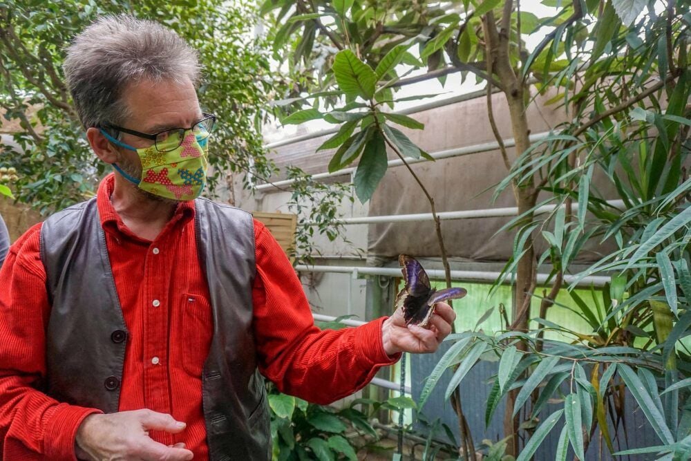Georg Kersten Liebold mit einem Bananenfalter