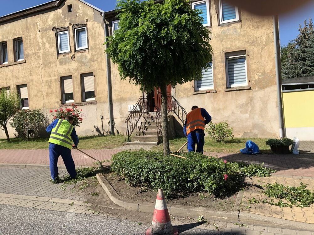In Helbra bringen die Mitarbeiter der GSG gerade die Baumscheiben an den Straßen in Ordnung.