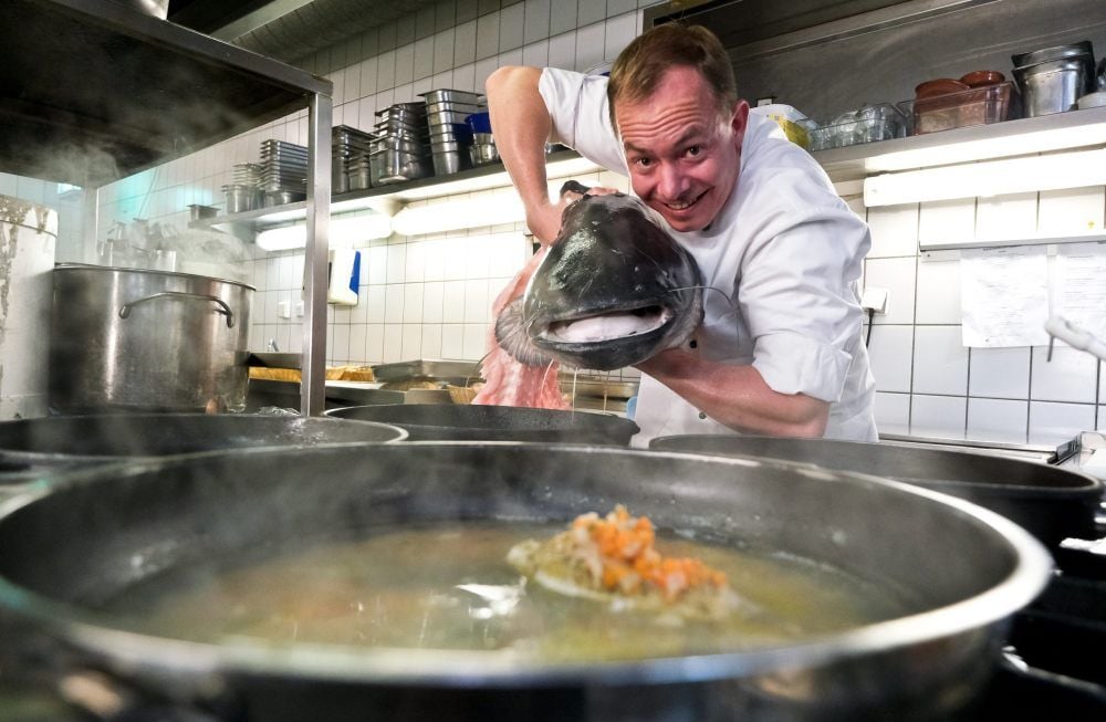 Küchenchef Andre Grenzdoerffer präsentiert einen Wels aus der Saale, kurz bevor er als Filet in der Pfanne landet.