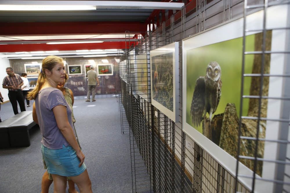 Eröffnung: Staunende Besucher schauen sich im IFM Wolfen die Foto-Sonderausstellung „Indien Wildlife“ an.