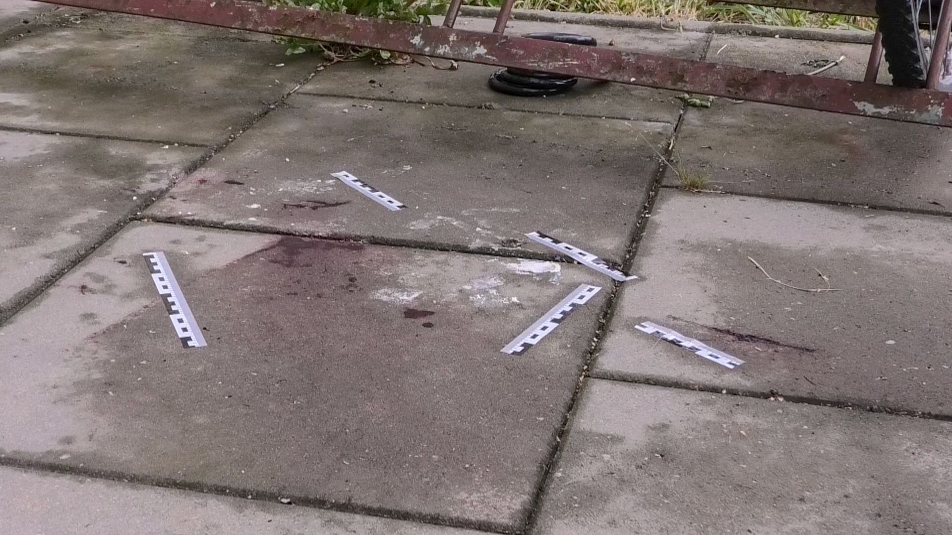 Genau an dieser Stelle wurde das Baby gefunden.