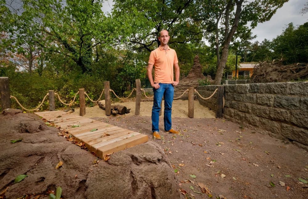 Zoochef Dennis Müller steht in der neuen Löffelhund-Anlage.