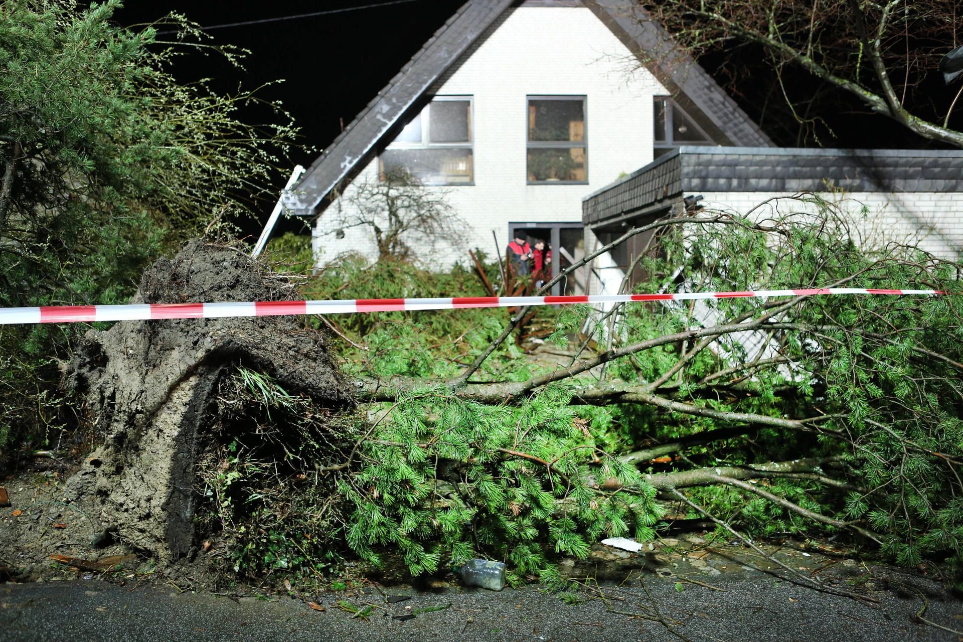 Umgestürzte Bäume liegen vor einem Haus in Roetgen.