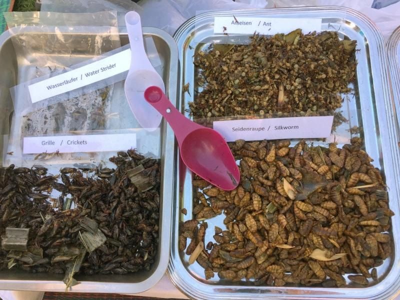 Im Preußenpark in Berlin-Wilmersdorf bieten an Wochenenden zahlreiche Händler asiatische Snacks an. Neben Papaya-Salat und Frühlingsrollen findet man hier auch Insekten. Foto: Caroline Bock