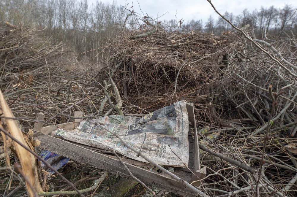 Auf der Bienenwiese in Ballenstedt, wo das Osterfeuer brennen soll, landet nicht nur Grünschnitt.