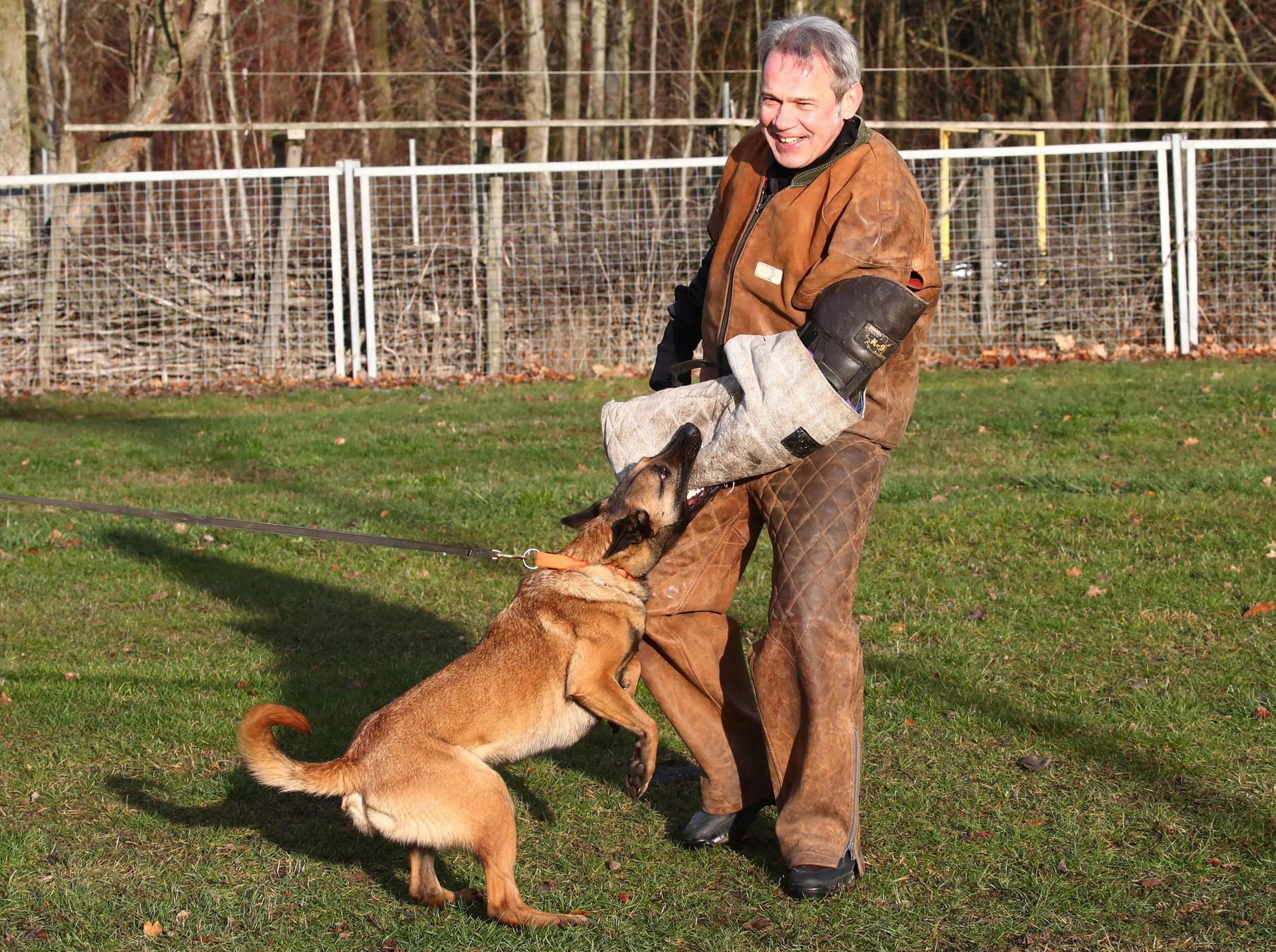 Georg Maier (SPD), Thüringens Innenminister, wird vom Polizeihund «Odin» in den Arm gebissen.