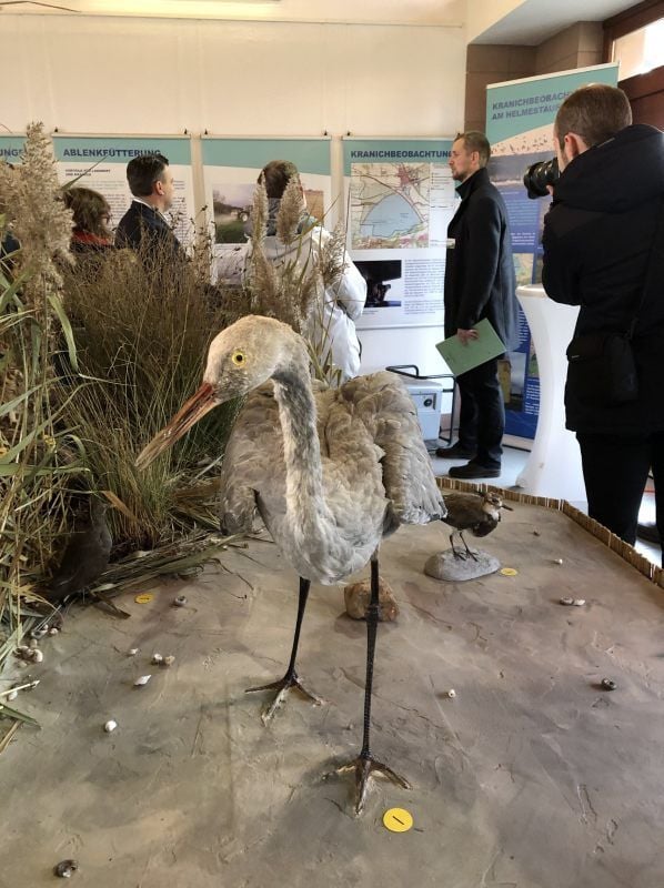 Stausee Kelbra: Die Ausstellung im Eingangsbereich des Strandbades.