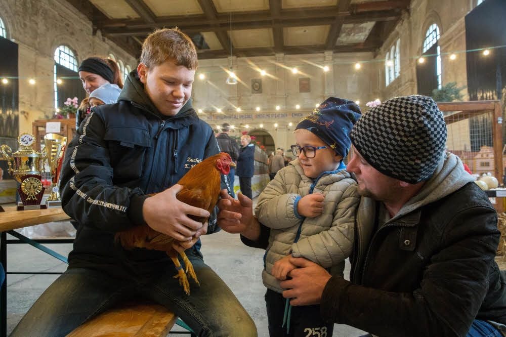 Keine Angst vorm goldenen Hahn! Eric Haftendorn zeigt Leo (M) und Enrico Schweikart aus Kleindröben stolz eines der ausgestellten Tiere.