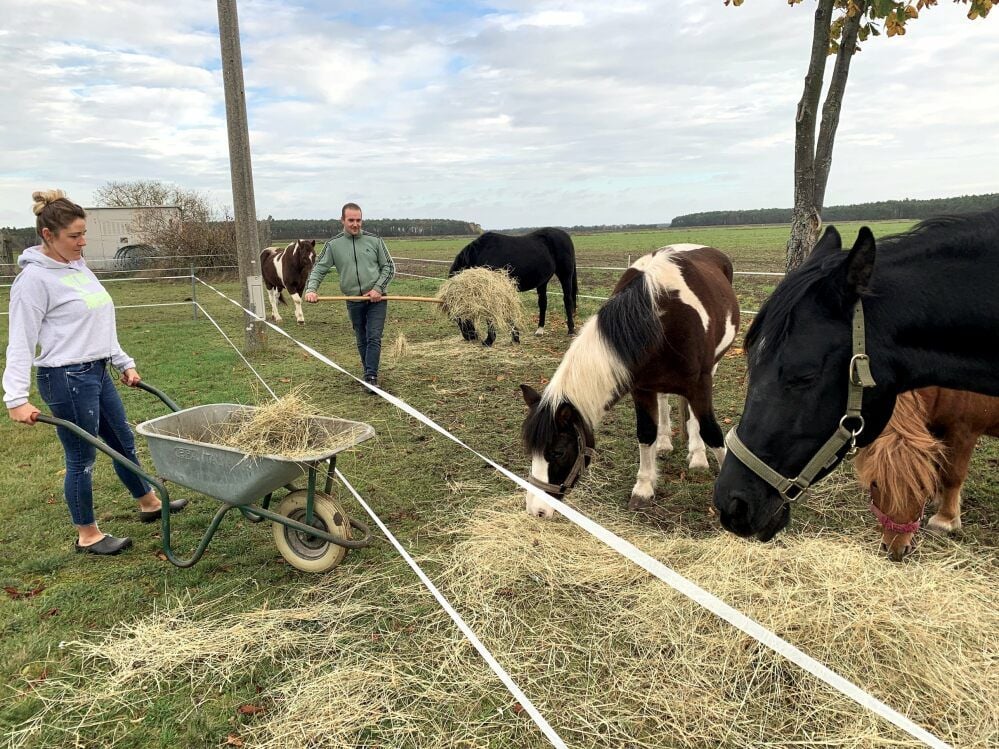 Ramona und Amando Renz führen den Zirkus Bernardo. Gerade steht das Unternehmen in Holzdorf und kann nicht auftreten. Die Tiere müssen trotzdem versorgt werden. Ohne Einnahmen ist das allerdings schwierig.