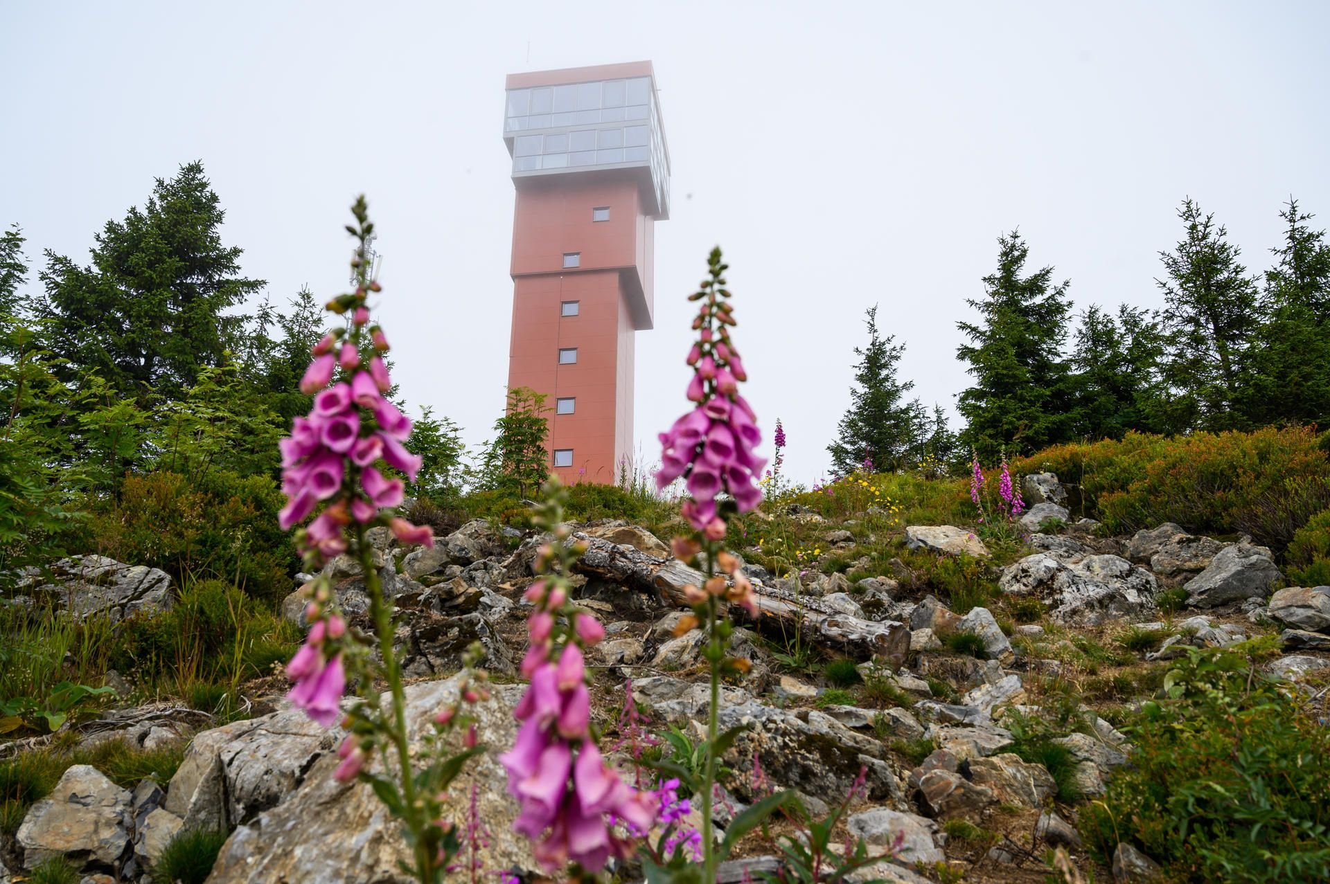 Braunlage: Der neue Wurmberg-Turm steht auf dem Gipfel des Wurmbergs im Nebel