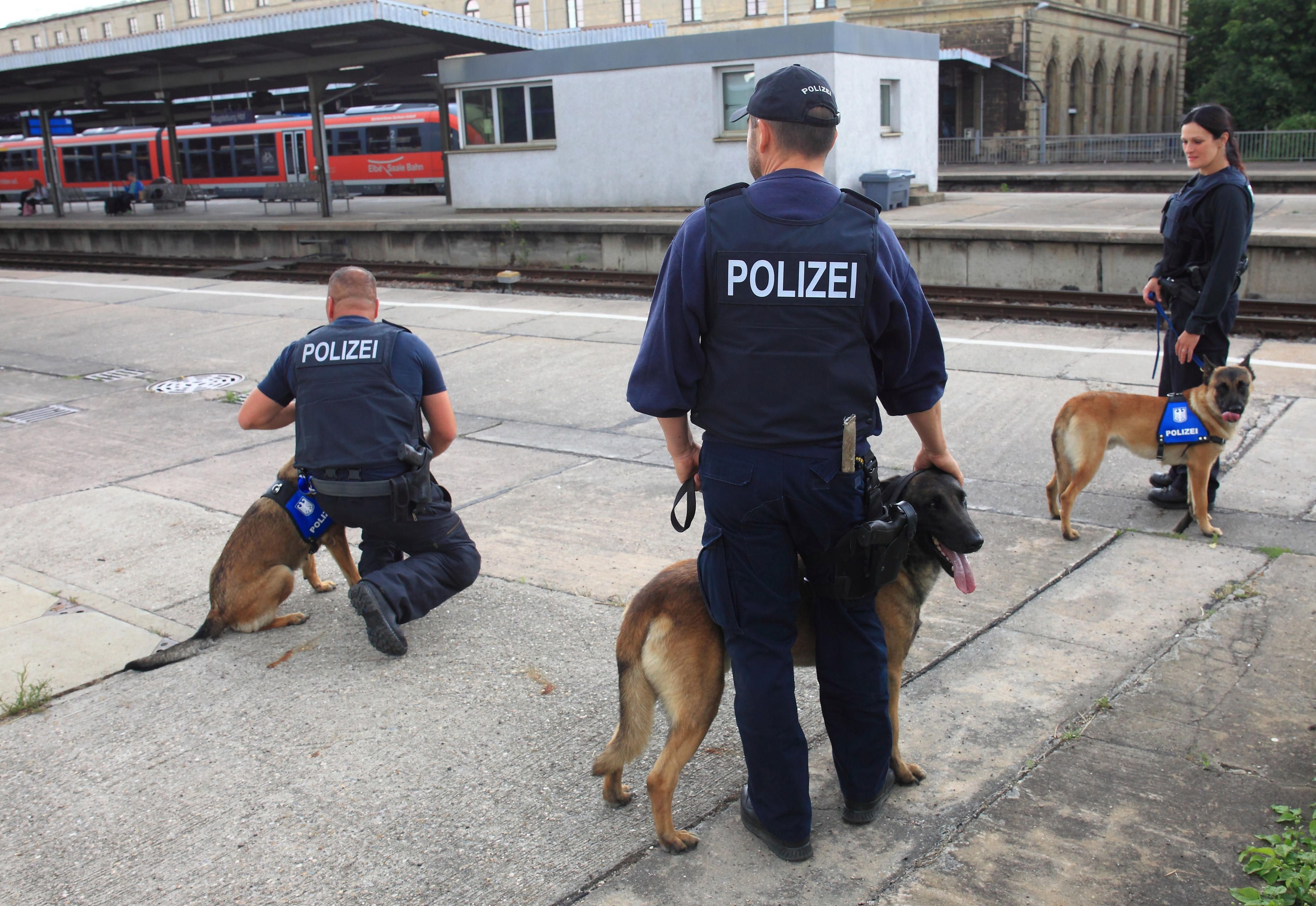 Diensthundeführer der Bundespolizei