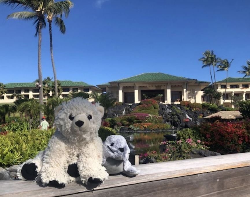 Die beiden Stofftiere bekamen im Grand Hyatt Kauai einen Extra-Urlaub