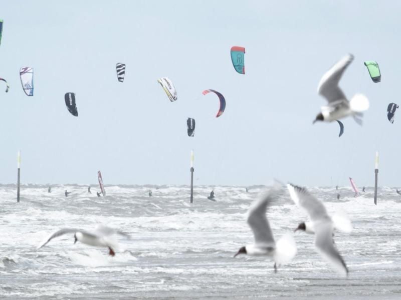 Möwen und Drachen über dem Nordseestrand in St. Peter-Ording. Foto: Carsten Rehder/Archivbild