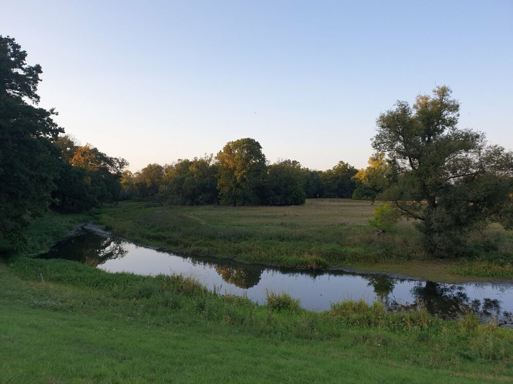 Der Bürgersee in Aken ist in den vergangenen Jahren mehr und mehr verlandet.