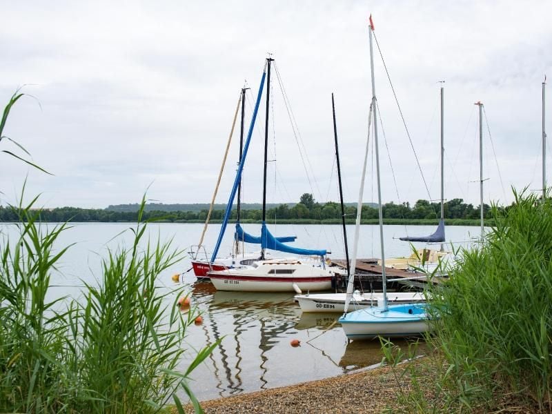 Sportbootle liegen an einem Steg im Singliser See. Foto: Swen Pförtner/Archiv