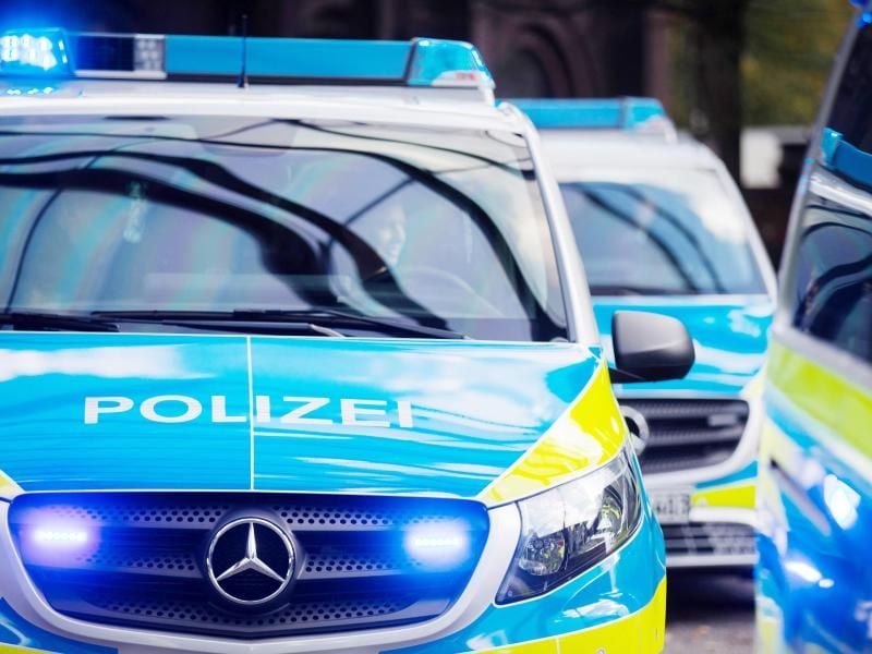 Mehrere Streifenwagen der Polizei stehen aufgereiht nebeneinander. Foto: Rolf Vennenbernd/dpa/Symbolbild