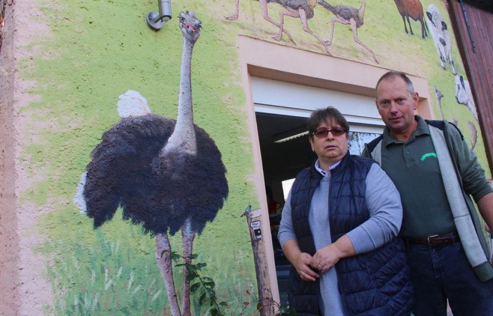 Marlies und Bernd Halamunda werden sich von ihren Straußen trennen.