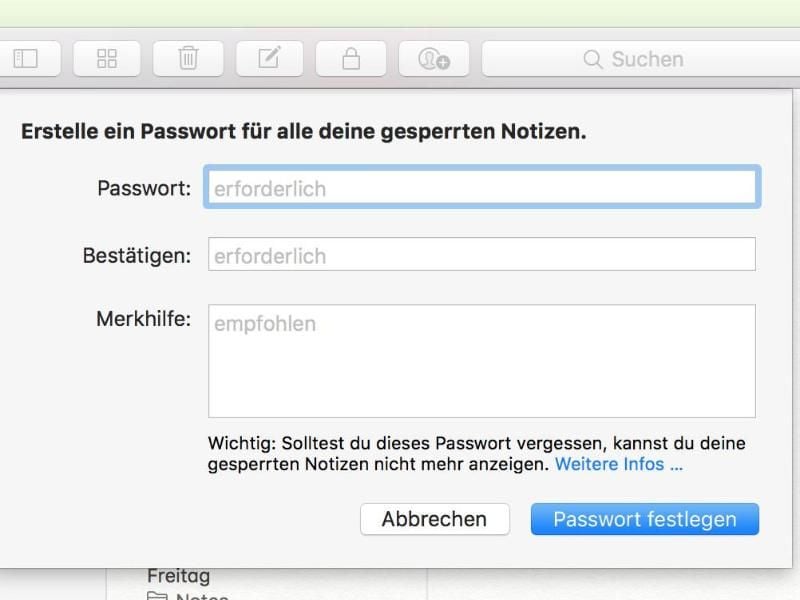 Manche Anmerkungen sollen privat bleiben: Dies erleichtert Apple, indem sich Notizen mit einem Passwort schützen lassen. Foto: dpa-infocom