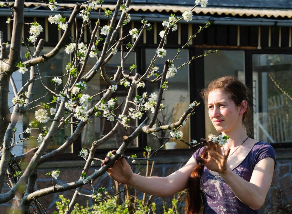 Stefanie Giehler schaut in ihrem Garten nach dem Rechten.